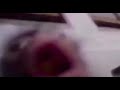 Fuck Cops