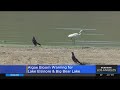 Algae bloom warning issued for Lake Elsinore, Big Bear Lake