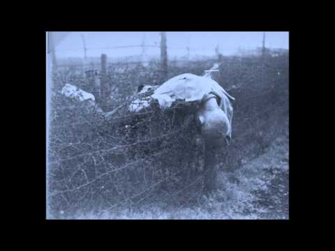 SONIMINOS- EVENING IN THE ORCHARD OF THE IMPALED
