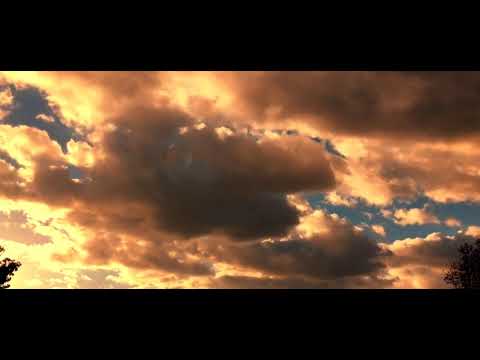 jace béu - waste (prod. keynine9)