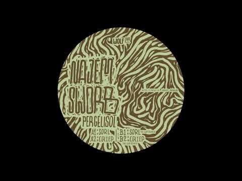 Najem Sworb - Sorl [WOLF044]