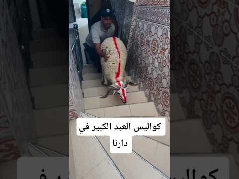 أجمل عيد الاضحى 2026 😍
