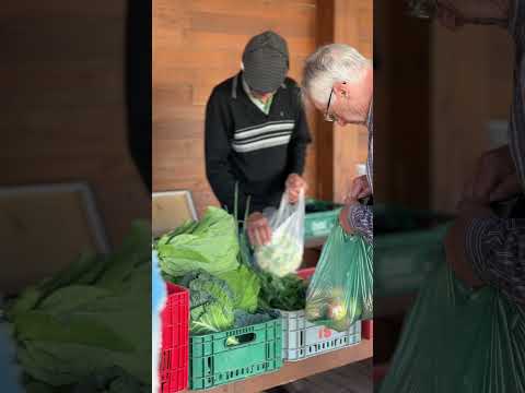Apresentação Projeto Raízes do Futuro - Departamento de Agricultura de Morro da Fumaça