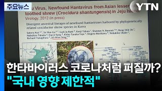 한타바이러스, 코로나처럼 퍼질까?...국내 영향 제한적 / YTN