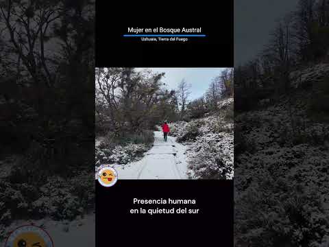 Mujer en el Bosque Austral – Ushuaia, Tierra del Fuego – Vista Aérea en 4K | @MencionesAéreas