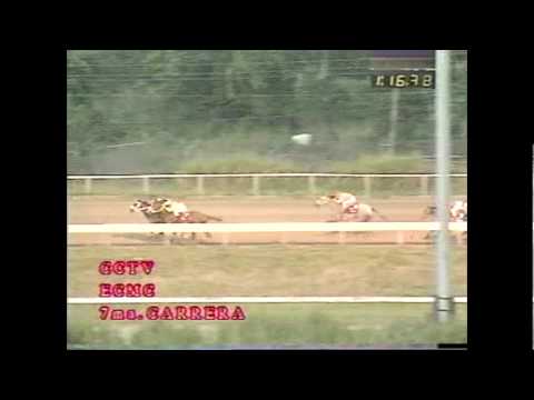 Alexia - Clasico Del Caribe 2001