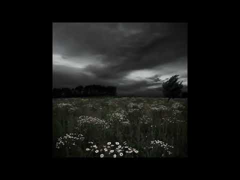 [FREE FOR PROFIT] Takeluf x Rizza x Dark Hyerpop Type Beat (prod. mjanee)