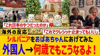 【海外の反応】日本のおもちゃでおばあちゃん大喜び！世界中を夢中にさせるシルバニア