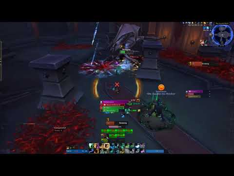 [Nathria Heroic] Shriekwing