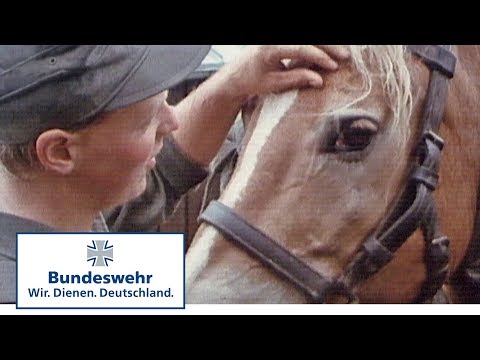 Classix: Polly und Sixtus (1987) - Bundeswehr