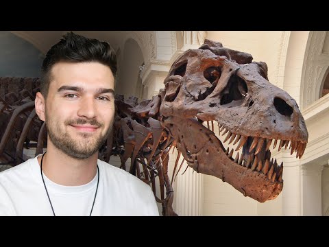 A legérdekesebb DINOSZAURUSZ csontvázak ! Márkopédia #2