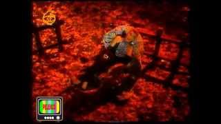 Seda Sayan Seni Seviyorum