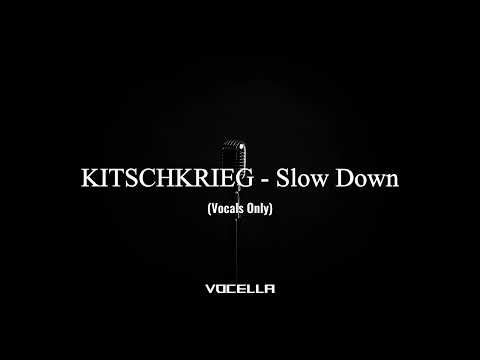 KITSCHKRIEG, Fridayy, Mariah the Scientist, Future - Slow Down (Acapella/Vocals Only)