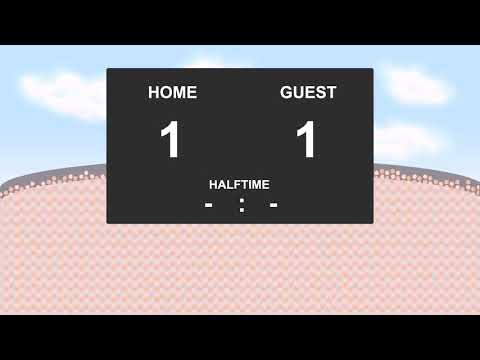 20.10.2017: Nancy - Clermont Foot (2 - 2)