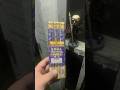Daily Firework: Mini Roman Candle By BrightStar #shorts #fireworks #brightstar #250th
