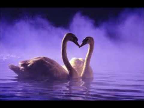 Your song - Elton John cover by Damiano. B