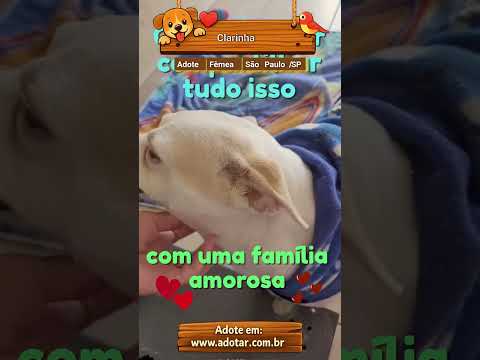 Vídeo de Clarinha