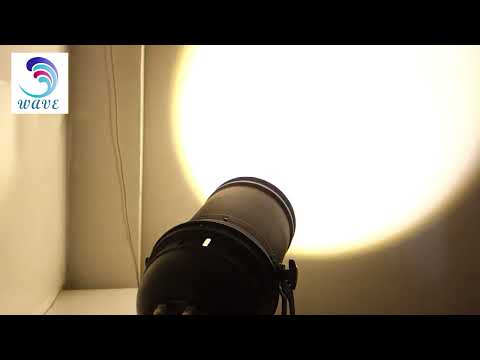 C1001TF 100W one color cob zoom par light