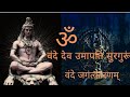 Vande Dev Umapati Surguru Vande Jagat Karanam Vedic Chanting वंदे देव उमापत�