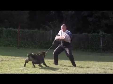 Iron z Vodňanské doliny