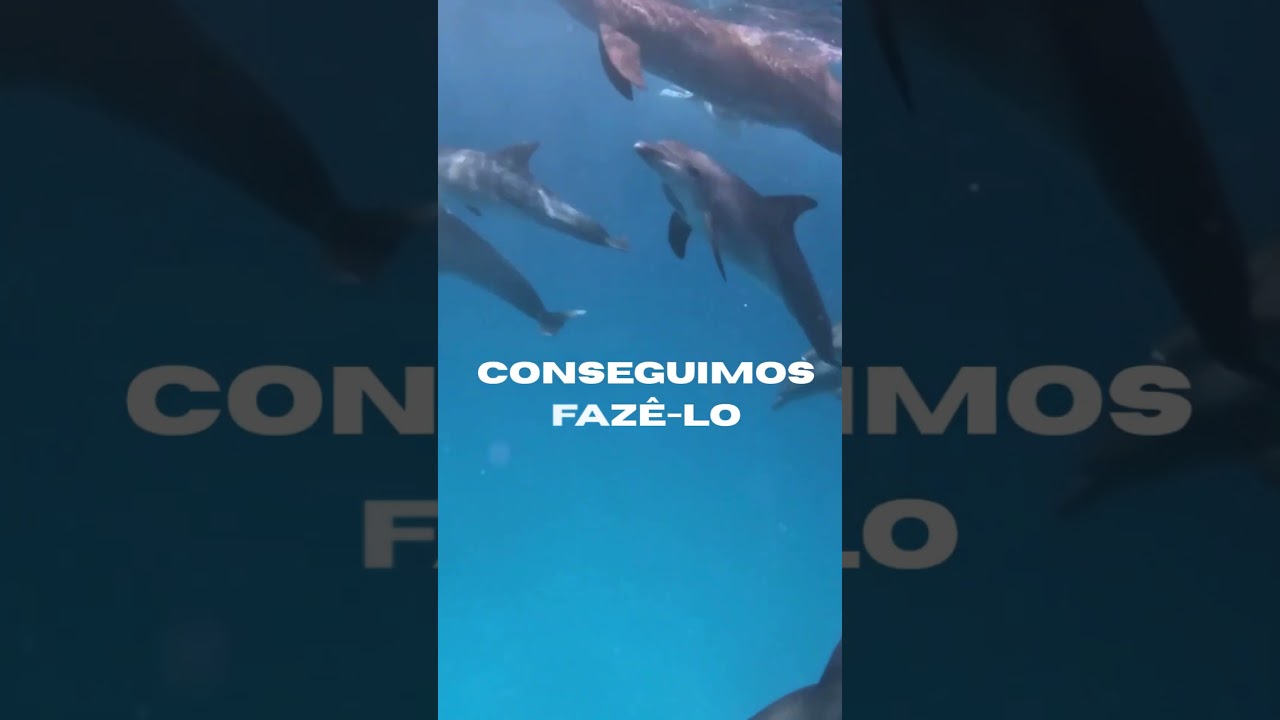 NÓS CONSEGUIMOS