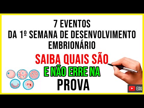 7 EVENTOS DA PRIMEIRA SEMANA DE DESENVOLVIMENTO EMBRIONÁRIO - Aprenda o que é em 3 minutos!
