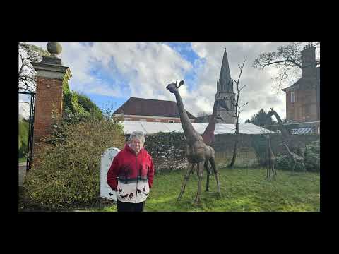 June & Robin Lovelock's visit to Welford Park to see the Snowdrops in February 2026 - Rough Cut.