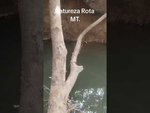 Córrego Perto da cidade de Planalto Da Serra MT.