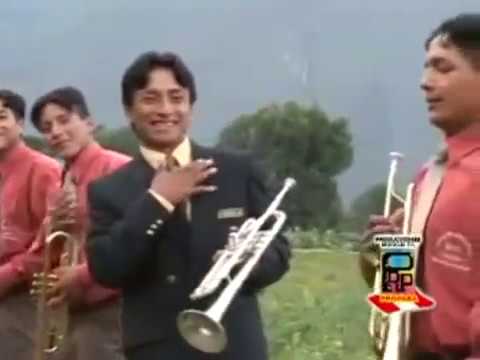 Banda Show Filarmonica Llipa - Pampa de Llipa- Planta de Maguey