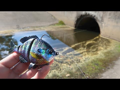 FAT Bass CHOKES Bluegill SWIMBAIT While Bank Fishing (HUGE BASS) Video