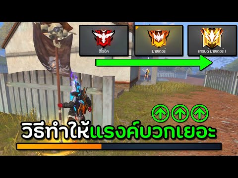 ฟีฟาย