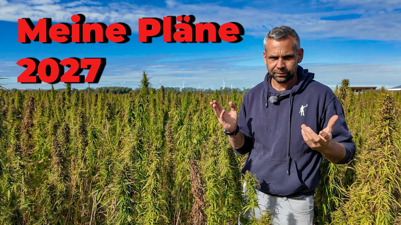 AKF Körnerhanf und Sonnenblumen, Wann startet die große Ernte? wie sind meine Pläne für 2027?
