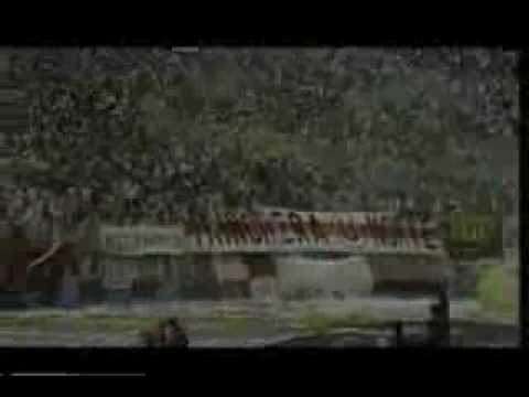 todas las campañas que vivi.wmv