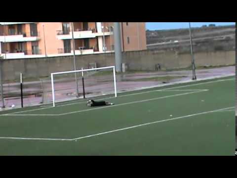 ASD Canosa 0 - 0 ACD Celle S Vito -  I 2 gol annullati al Canosa - 22/2/2015