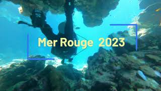 Séjour Plongée en Mer Rouge à bord de l&#39;Alia en octobre 2023