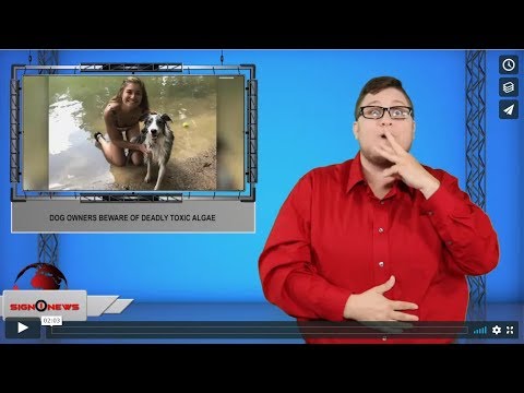 Dog owners beware of deadly toxic algae (8.14.19)