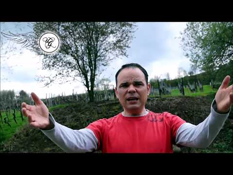 Engelreading Engelorakel der Woche  ab 16.04.2018 Engelmedium und Hellseher Udo Golfmann