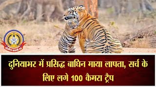 🔴Live News : दुनियाभर में प्रसिद्ध बाघिन माया लापता ….