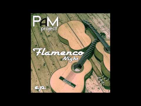 Flamenco Night E.P._PAMproject_