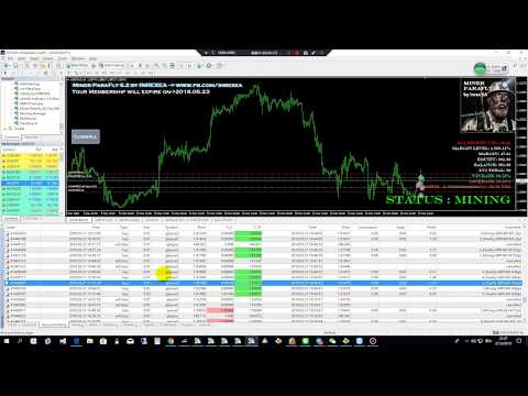 Video Miner Parafly