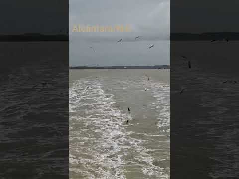 Alcântara  Maranhão