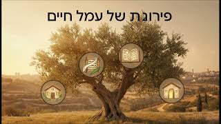 אילן שצמח מן האפר - ר' מאיר שפריר זצ''ל