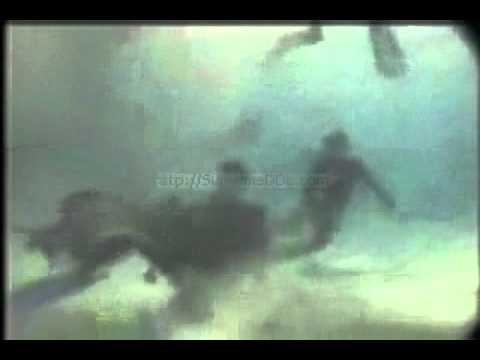 15/ The REAL Steve Irwin Death Video