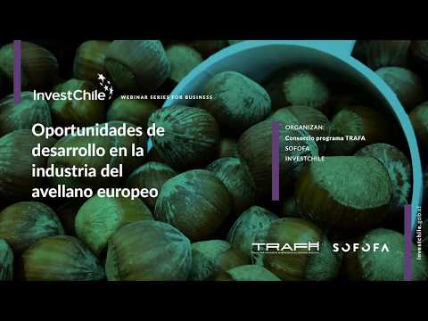 Development opportunities in agribusiness in the Araucanía Region: production of European hazelnuts