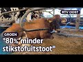 Stikstofkraker: Melkveehouder Gerjan gelooft in deze nieuwe techniek| RTV Oost