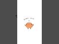 Le Poisson Steve ️ Cred Vigzvigz Tomomp3 Animation Animationmeme Poissonsteve Short