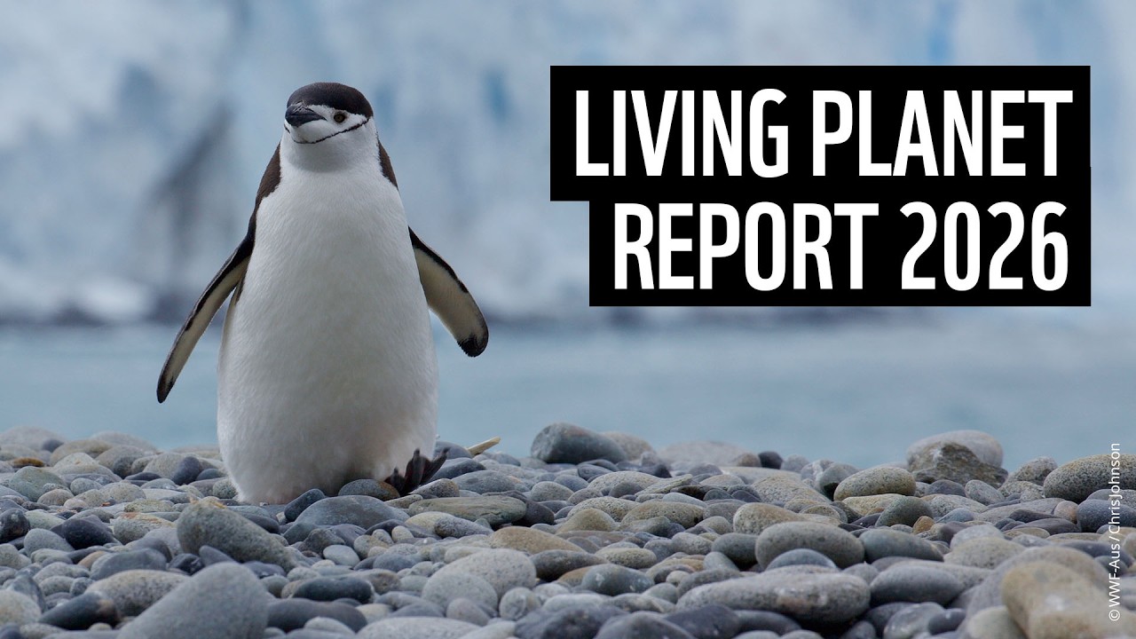 Living Planet Report 2026 | WWF