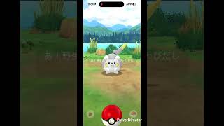 ビッグトゲデマル #pokemon #ポケgo #pokemongo #ポケモン #pokémon