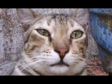 This is my first video on youtube