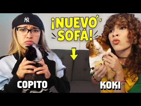 ¡Alo y Rai estranan NUEVO sofá con KOKI y COPITO!